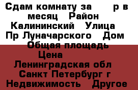 Сдам комнату за 10000р в месяц › Район ­ Калининский › Улица ­ Пр.Луначарского › Дом ­ 84 › Общая площадь ­ 15 › Цена ­ 10 000 - Ленинградская обл., Санкт-Петербург г. Недвижимость » Другое   